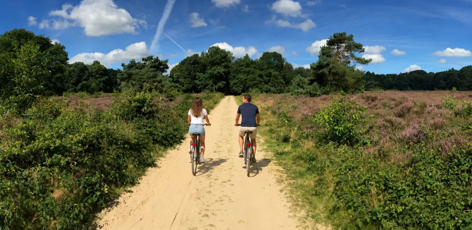 Fietsend stel langs de heide op de Veluwe