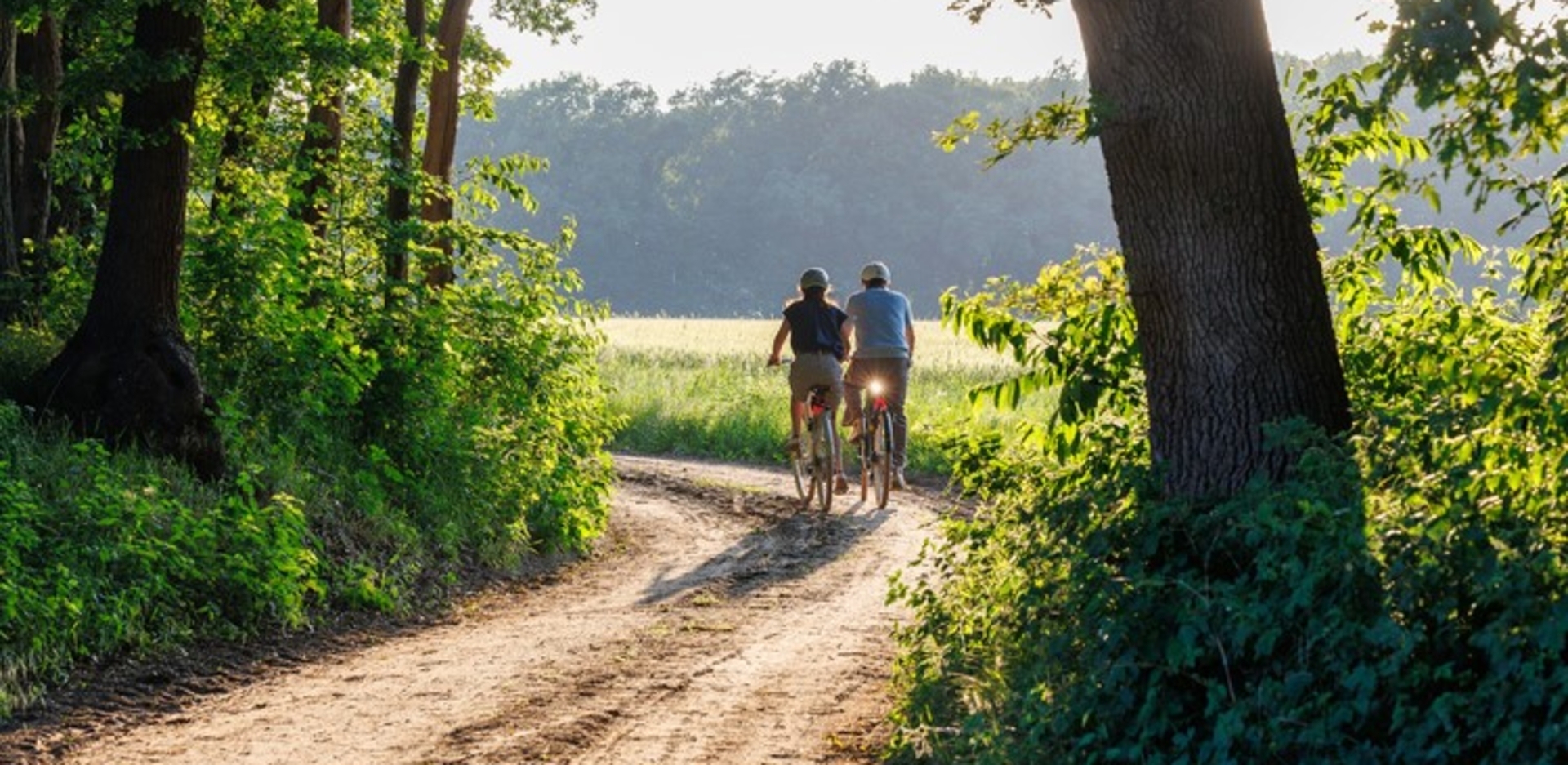 Fietsers op de Veluwe