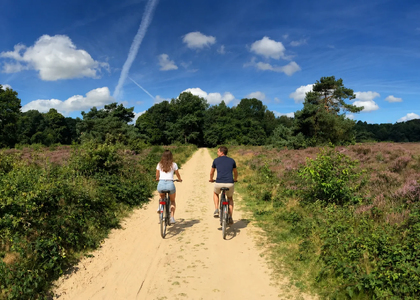 Ontdek de Veluwe arrangement