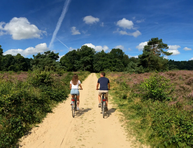 Ontdek de Veluwe arrangement